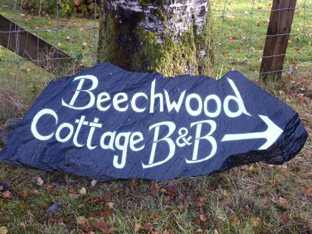 Beechwood Cottage B&B Glencoe Kültér fotó