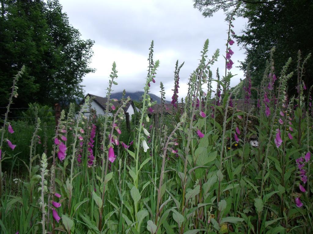 Beechwood Cottage B&B Glencoe Kültér fotó