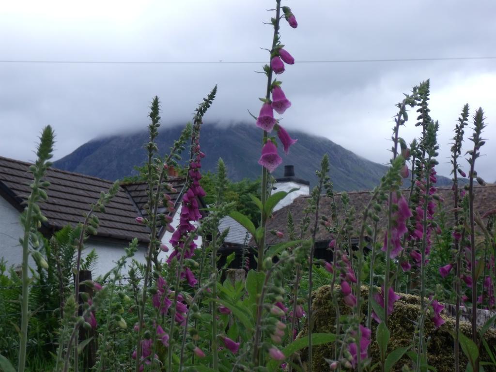 Beechwood Cottage B&B Glencoe Kültér fotó